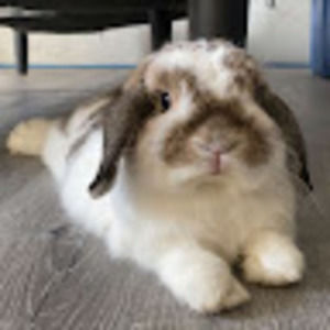 Meet your Posher, Leeann